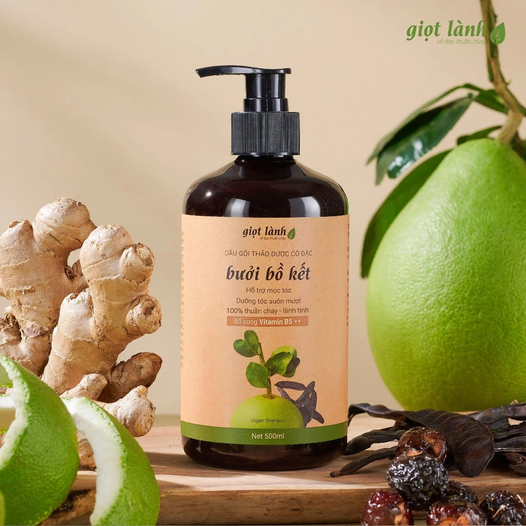 Herbal Bồ Kết: Grapefruit Shampoo (500ml)