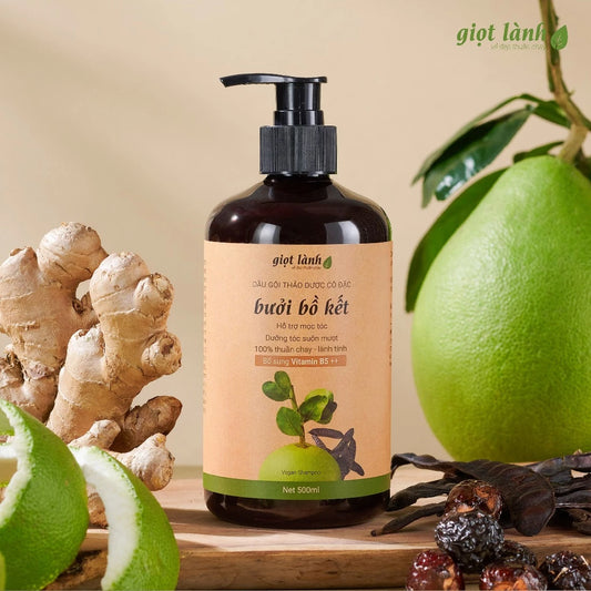 Herbal Bồ Kết: Grapefruit Shampoo (500ml)