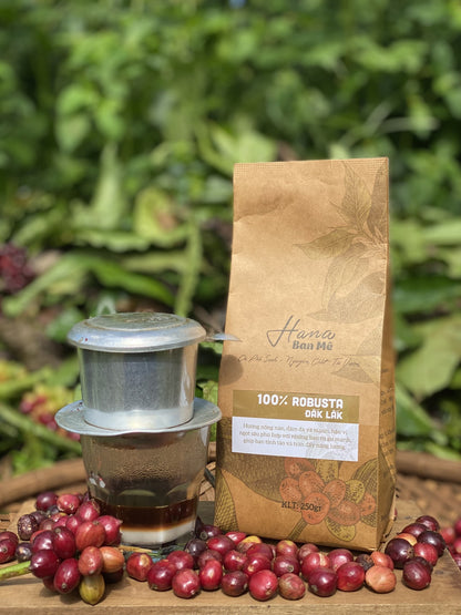 Pure Dak Lak Vietnam Robusta Coffee - Hana Ban Mê